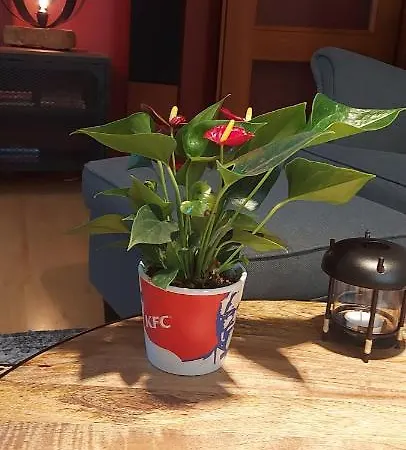 Monciak Appartement Sopot