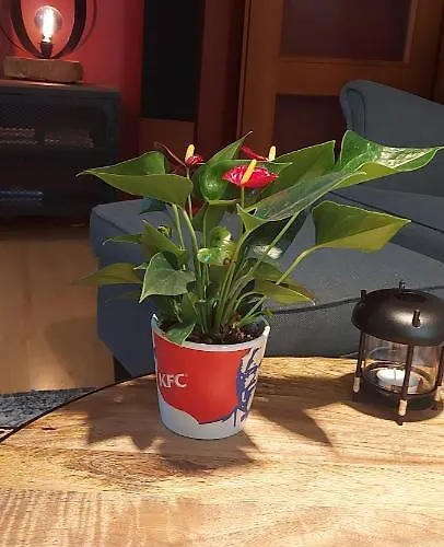 Monciak Apartamento Sopot